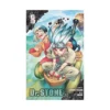 Dr. Stone (Manga) Volume 08