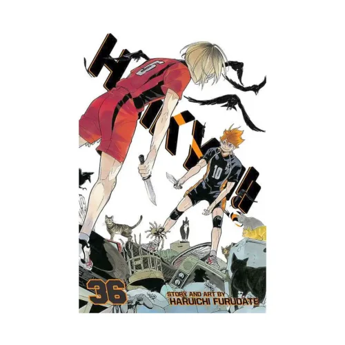 Haikyu!! (Manga) Volume 36