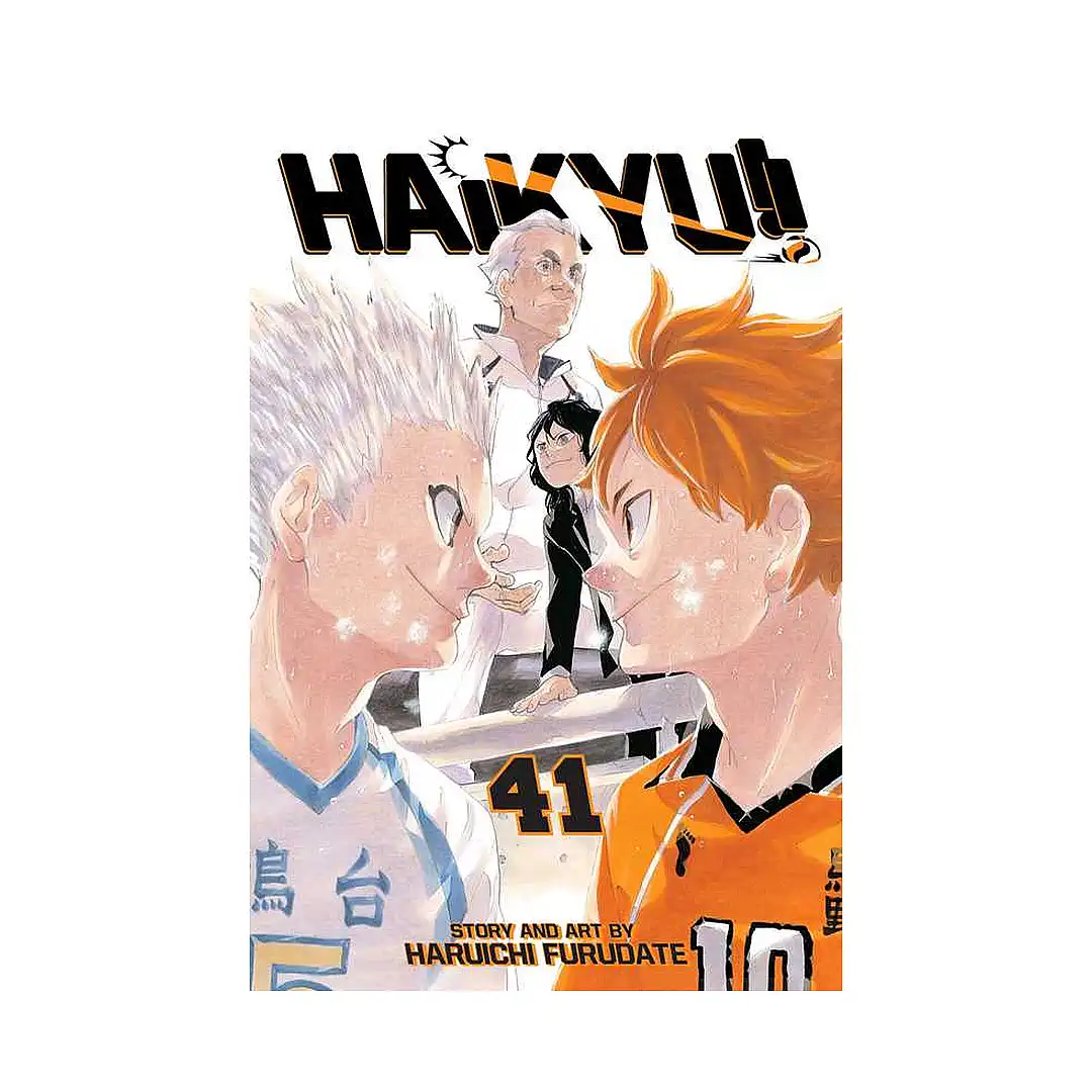 Haikyu!! (Manga) Volume 41