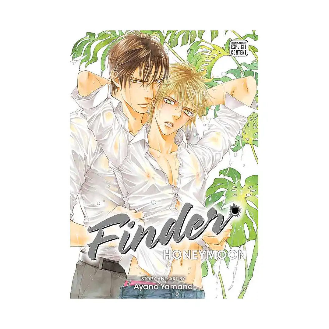 Finder Deluxe Edition (Manga) Volume 10