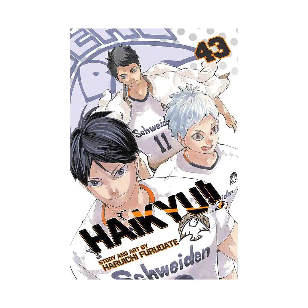 Haikyu!! (Manga) Volume 43