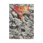 Orochi: The Perfect Edition (Manga) Volume 02