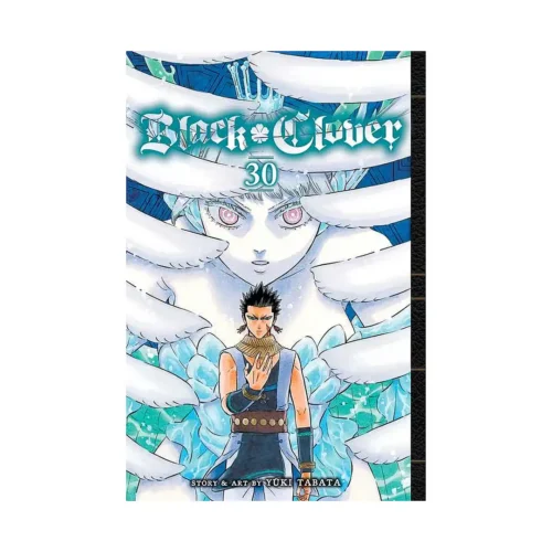9781974732319 Black Clover (Manga) Volume 30