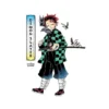 The Art of Demon Slayer: Kimetsu No Yaiba (Illustration Book)
