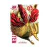 9781974736515 Rooster Fighter (Manga) Volume 03