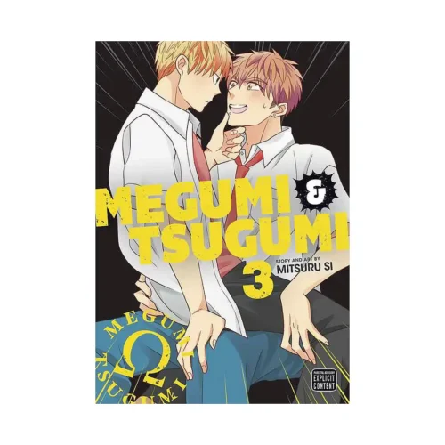 Megumi & Tsugumi (Manga) Volume 03