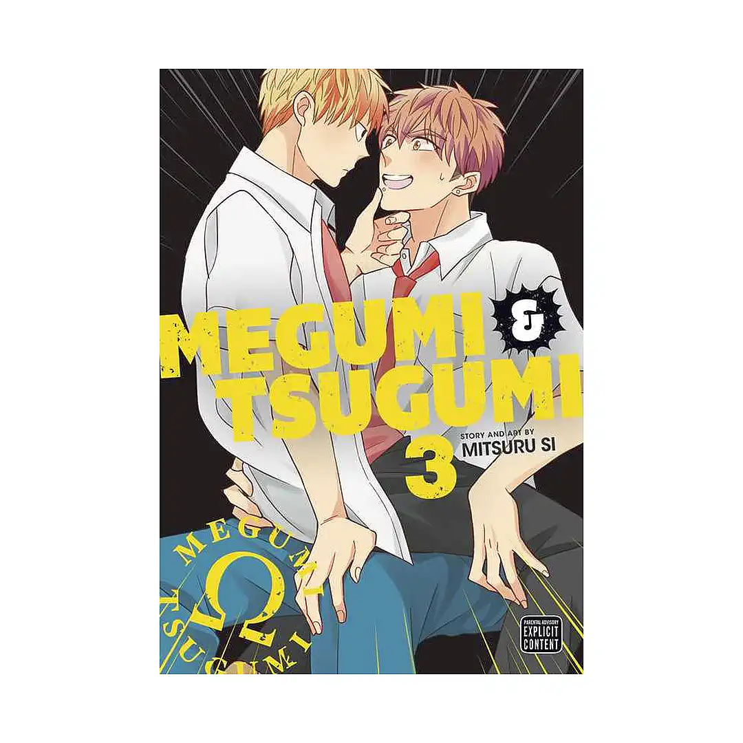 Megumi & Tsugumi (Manga) Volume 03