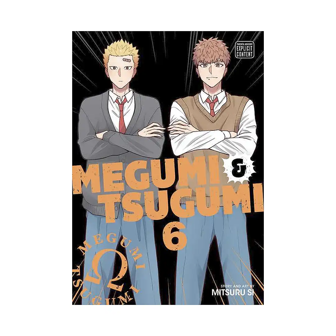 Megumi & Tsugumi (Manga) Volume 06