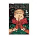 Jujutsu Kaisen (Manga) Volume 30