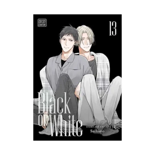 Black or White (Manga) Volume 13