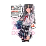 My Youth Romantic Comedy Is Wrong, as I Expected (Light Novel) Volume 12