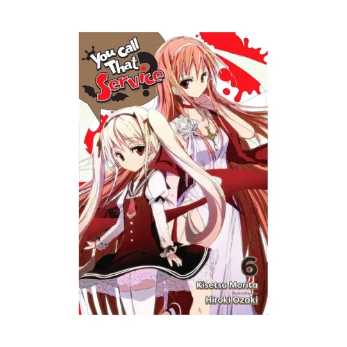 You Call That Service? (Light Novel) Volume 06