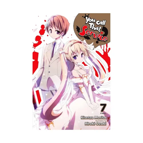 You Call That Service? (Light Novel) Volume 07
