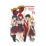 High School DXD (Manga) Volume 11