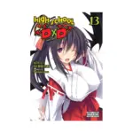 High School DXD (Light Novel) Volume 13