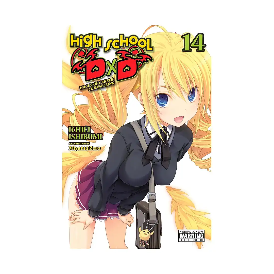 High School DXD Volume 14 (Light Novel)