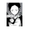 Durarara!! (Light Novel) Volume 13