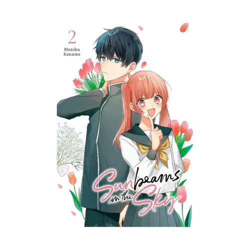 Sunbeams in the Sky (Manga) Volume 02
