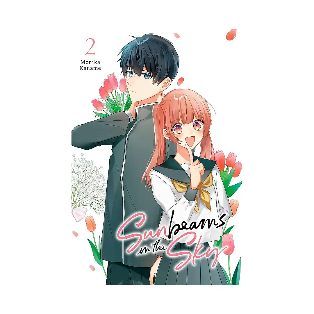 Sunbeams in the Sky (Manga) Volume 02