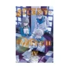 Secrets of the Silent Witch (Light Novel) Volume 04