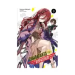 Combatants Will Be Dispatched! (Light Novel) Volume 03
