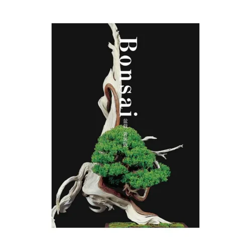 9784756248299 Bonsai: Reprint Edition (Illustration Book)