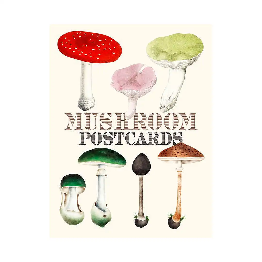 Mushroom Postcards (Illustration Book)