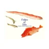 Fishes of EDO: A Guide to Classical Japanese Fishes (Illustration Book)