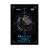 Omniscient Reader's Viewpoint (Novel) Volume 03