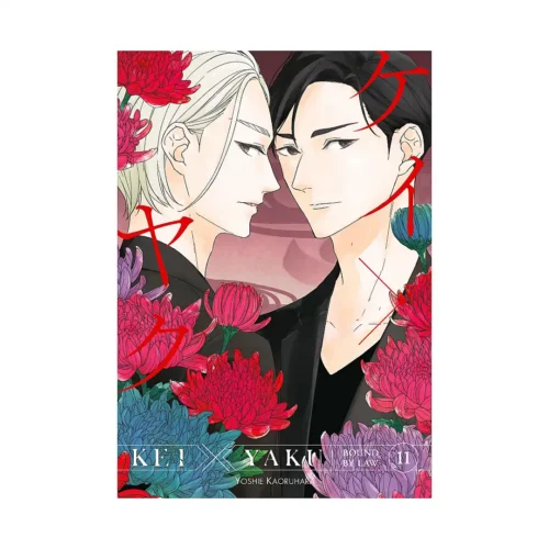 Kei X Yaku: Bound by Law (Manga) Volume 11