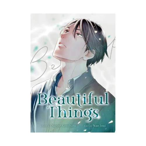 Beautiful Things: The Complete Collection (Manga)