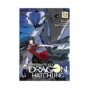 9798897654529 Reincarnated as a Dragon Hatchling (Light Novel) Volume 13